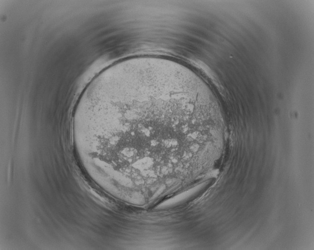 X0000062641371200601181734