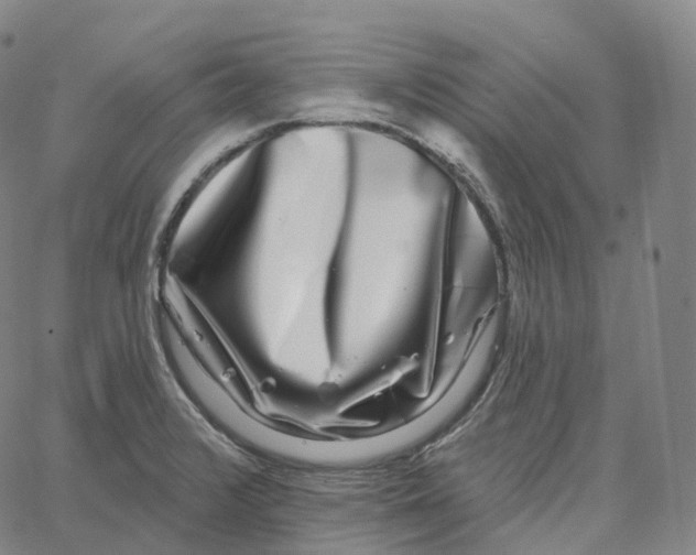 X0000062641376200601181734