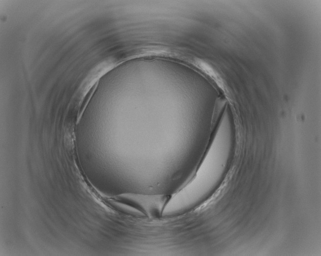 X0000062641377200601181734