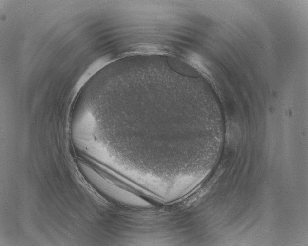 X0000062641378200601181734