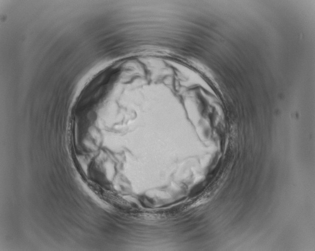 X0000062641379200601181734