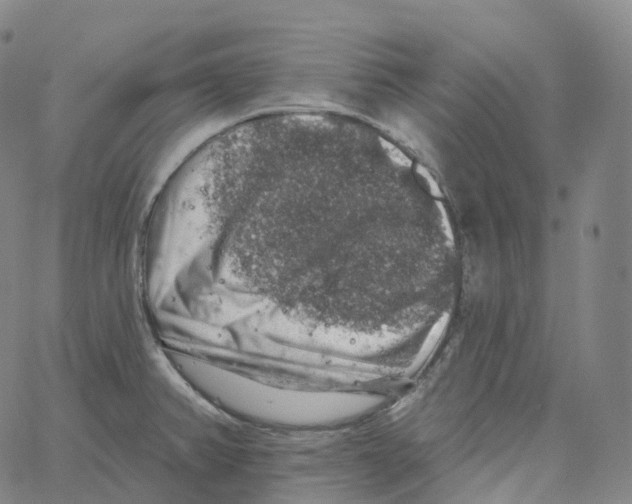 X0000062641382200601181734