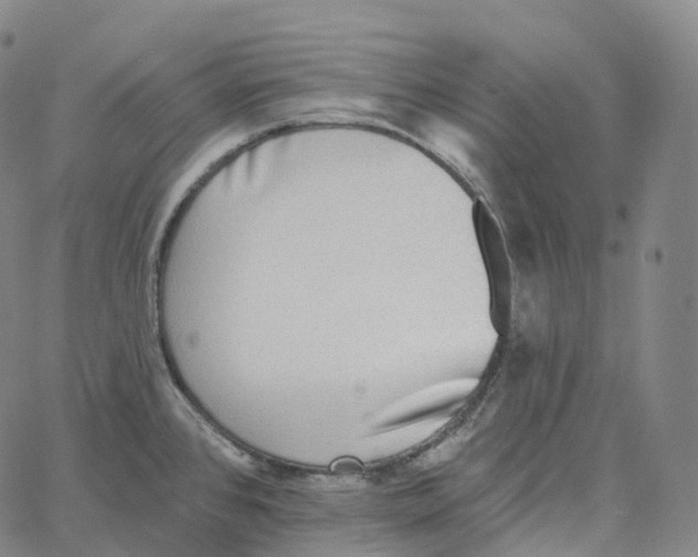 X0000062641384200601181734