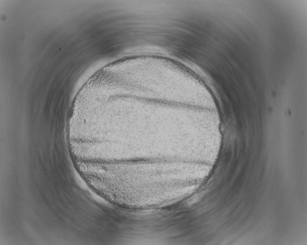 X0000062641390200601181734