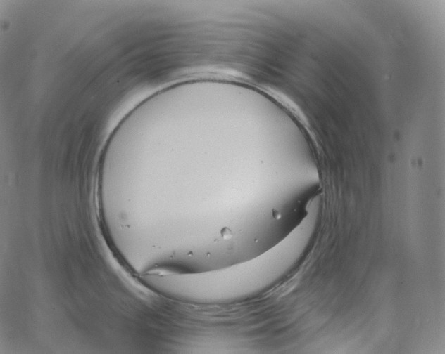 X0000062641391200601181734