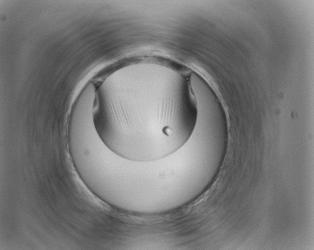 X0000062641392200601181734