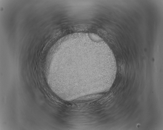 X0000062641393200601181733