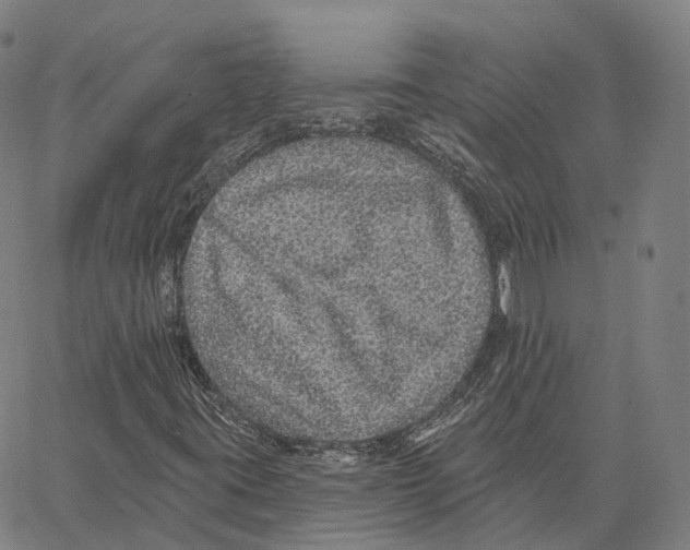 X0000062641395200601181733