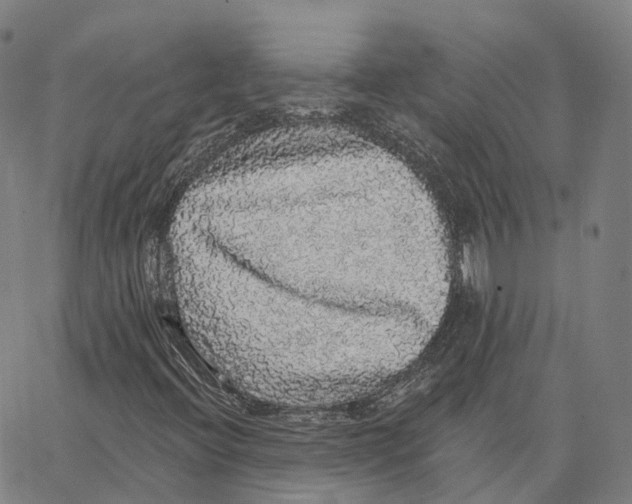 X0000062641396200601181733