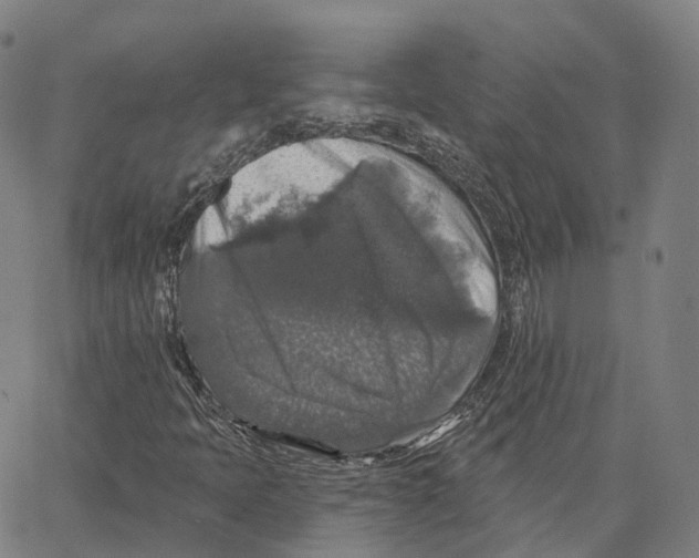 X0000062641397200601181733