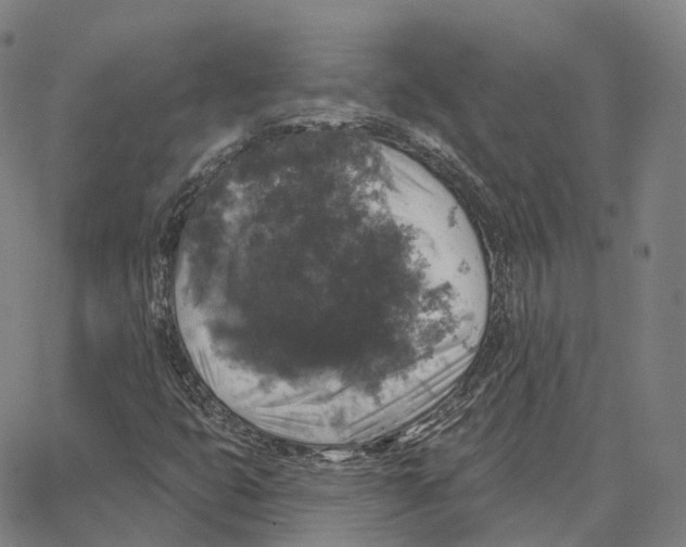 X0000062641399200601181733