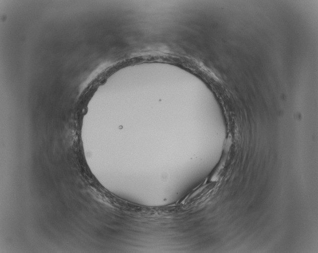 X0000062641400200601181733