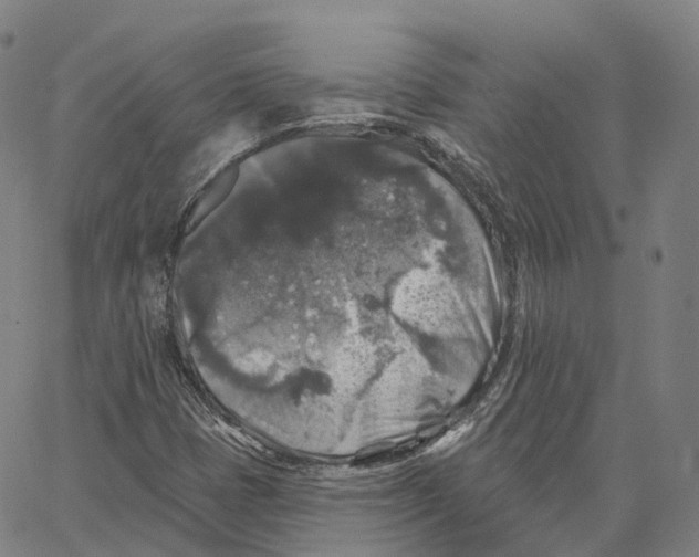 X0000062641401200601181733