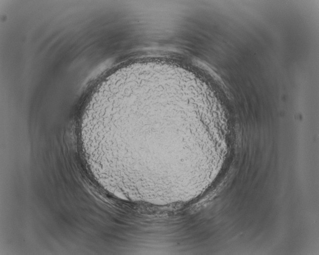 X0000062641403200601181733