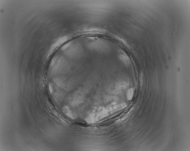 X0000062641405200601181733