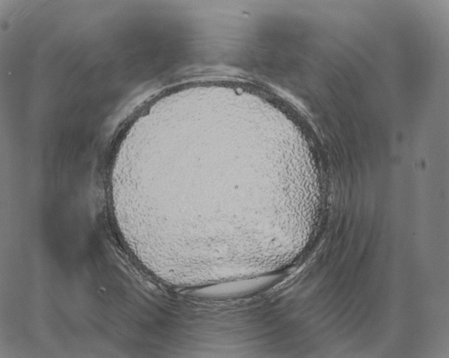 X0000062641407200601181733