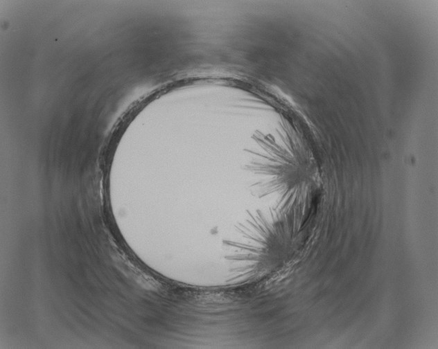 X0000062641408200601181733