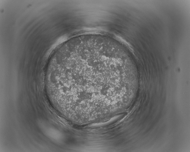 X0000062641411200601181733