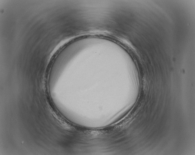 X0000062641412200601181733