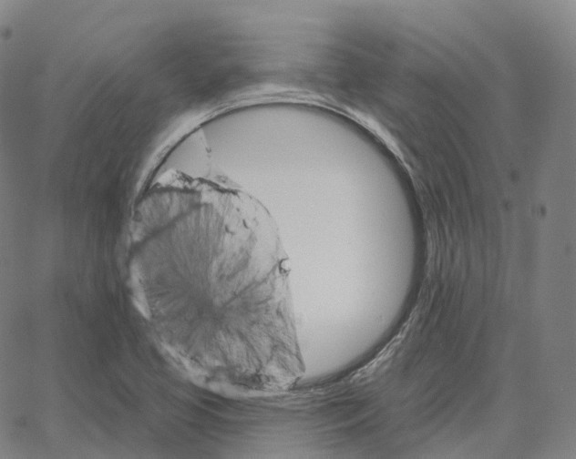 X0000062641413200601181733