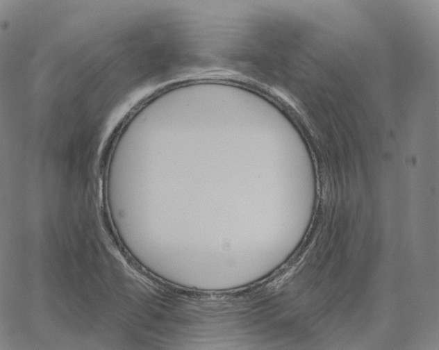 X0000062641414200601181733