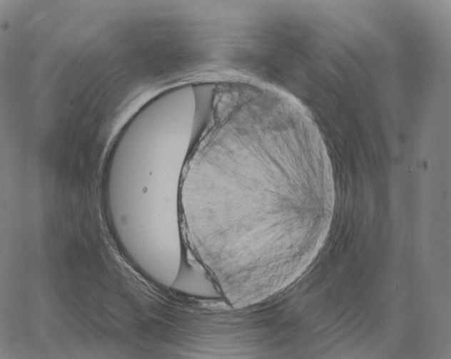 X0000062641415200601181733