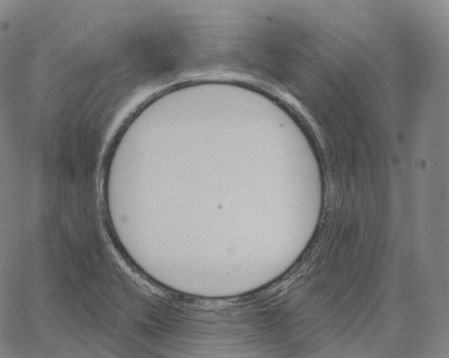 X0000062641416200601181733