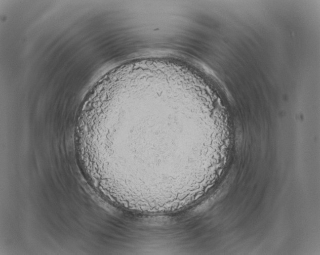 X0000062641417200601181733