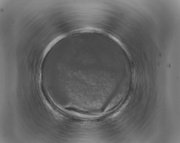 X0000062641418200601181733