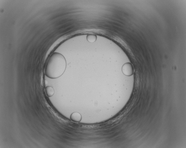 X0000062641420200601181733