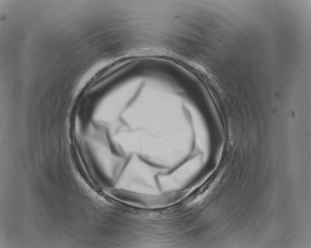 X0000062641422200601181733