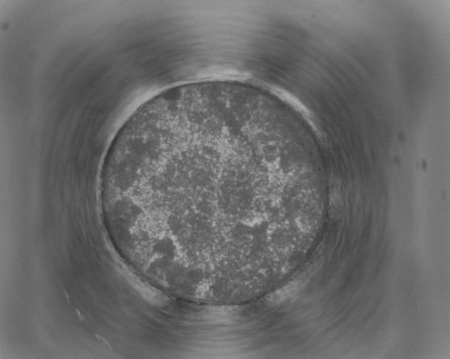 X0000062641423200601181733