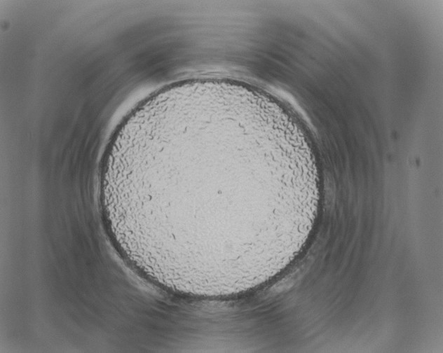 X0000062641424200601181733