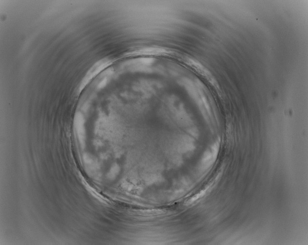 X0000062641425200601181733