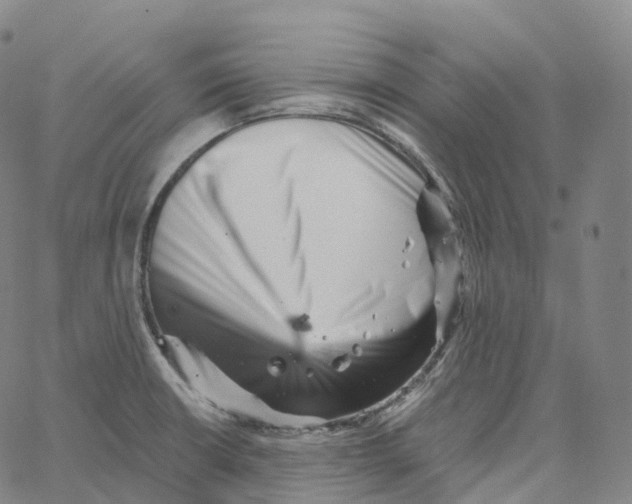 X0000062641426200601181733