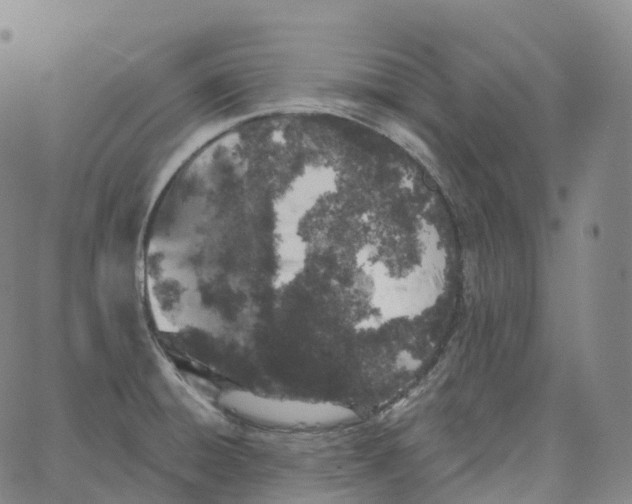 X0000062641428200601181733