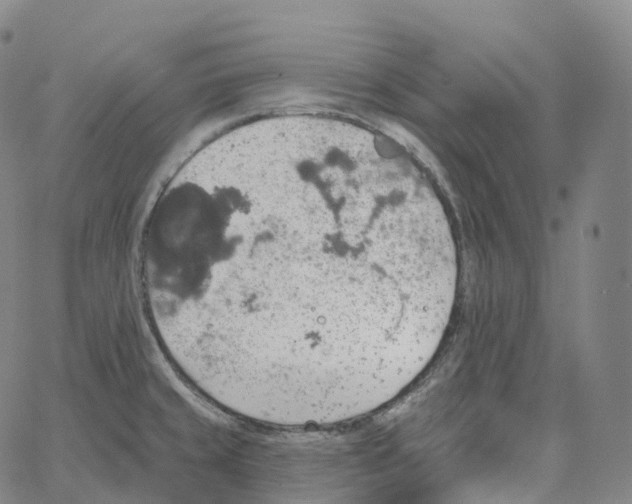 X0000062641429200601181733