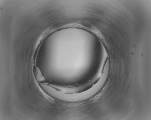 X0000062641430200601181733