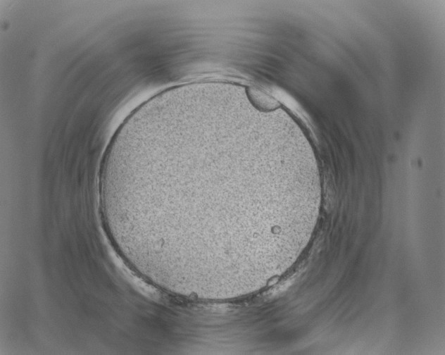 X0000062641431200601181733