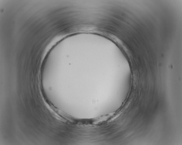 X0000062641432200601181734