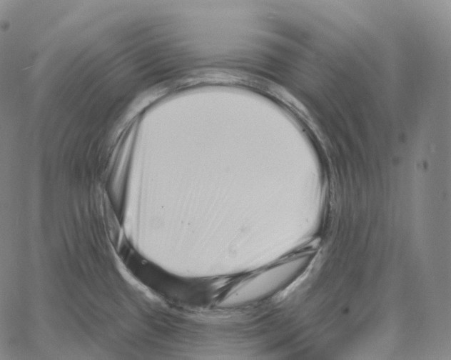 X0000062641433200601181734