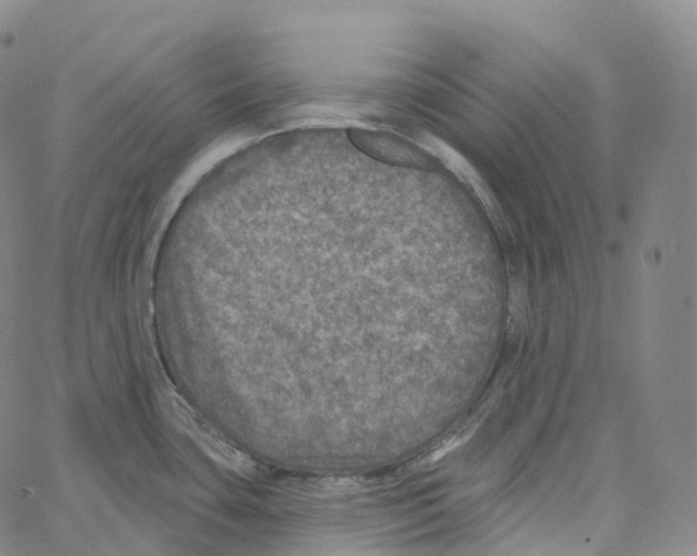 X0000062641435200601181734