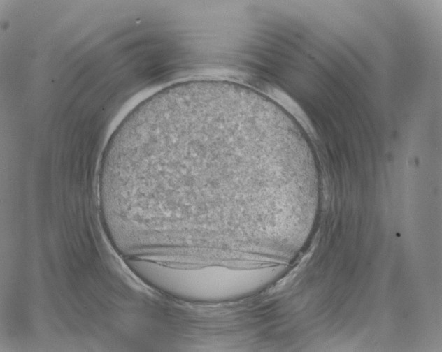 X0000062641436200601181734