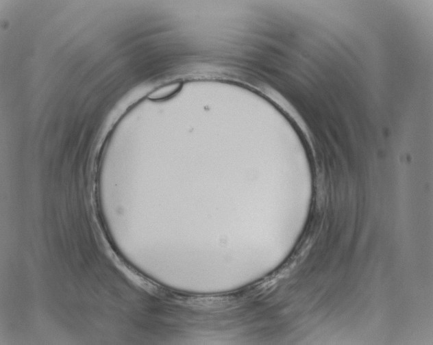 X0000062641437200601181734