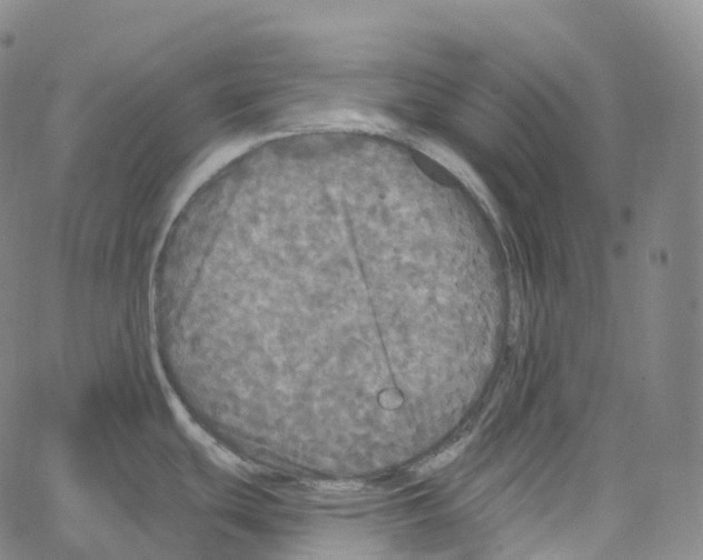 X0000062641439200601181734