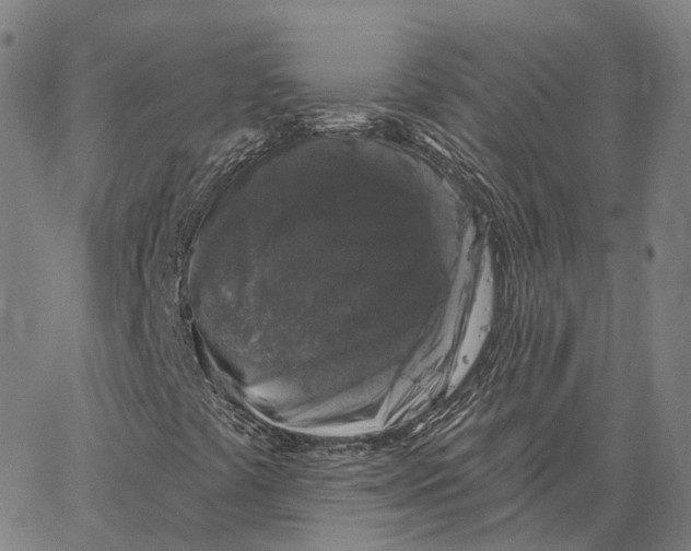 X0000062641441200601181733