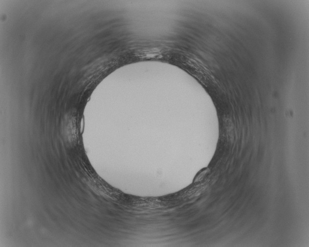 X0000062641442200601181733