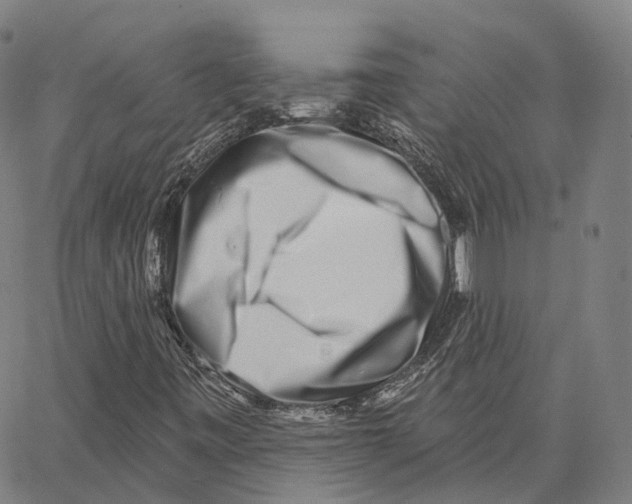 X0000062641443200601181733