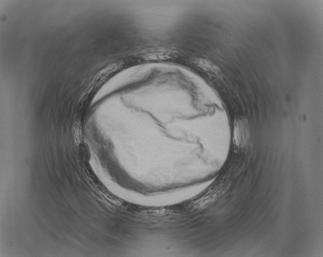 X0000062641444200601181733