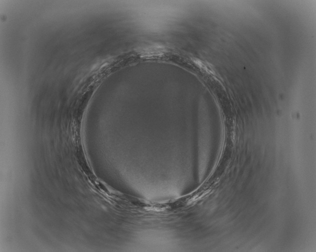 X0000062641445200601181733